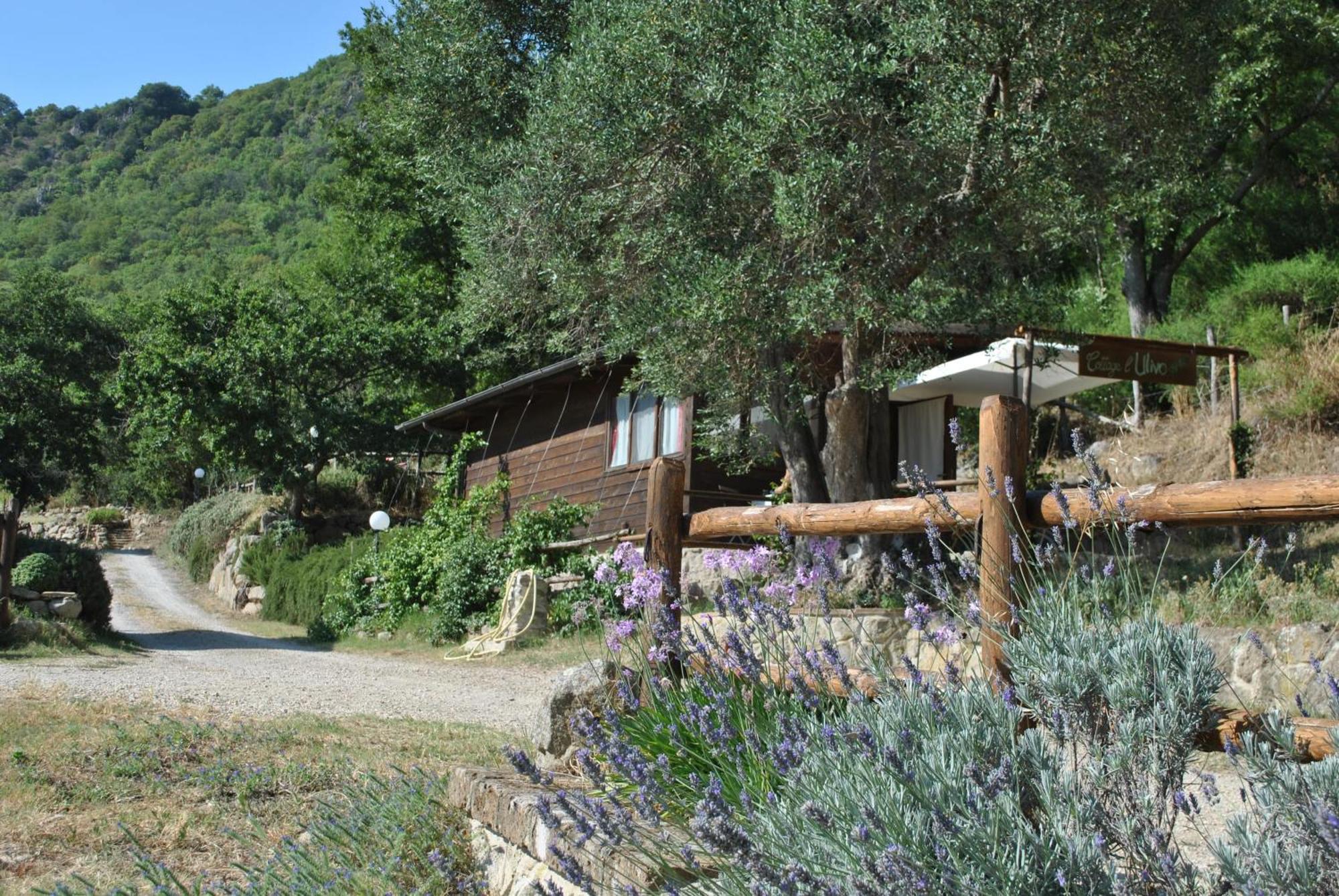 Tolfa Azienda Agricola Biologica La Cardellina מראה חיצוני תמונה