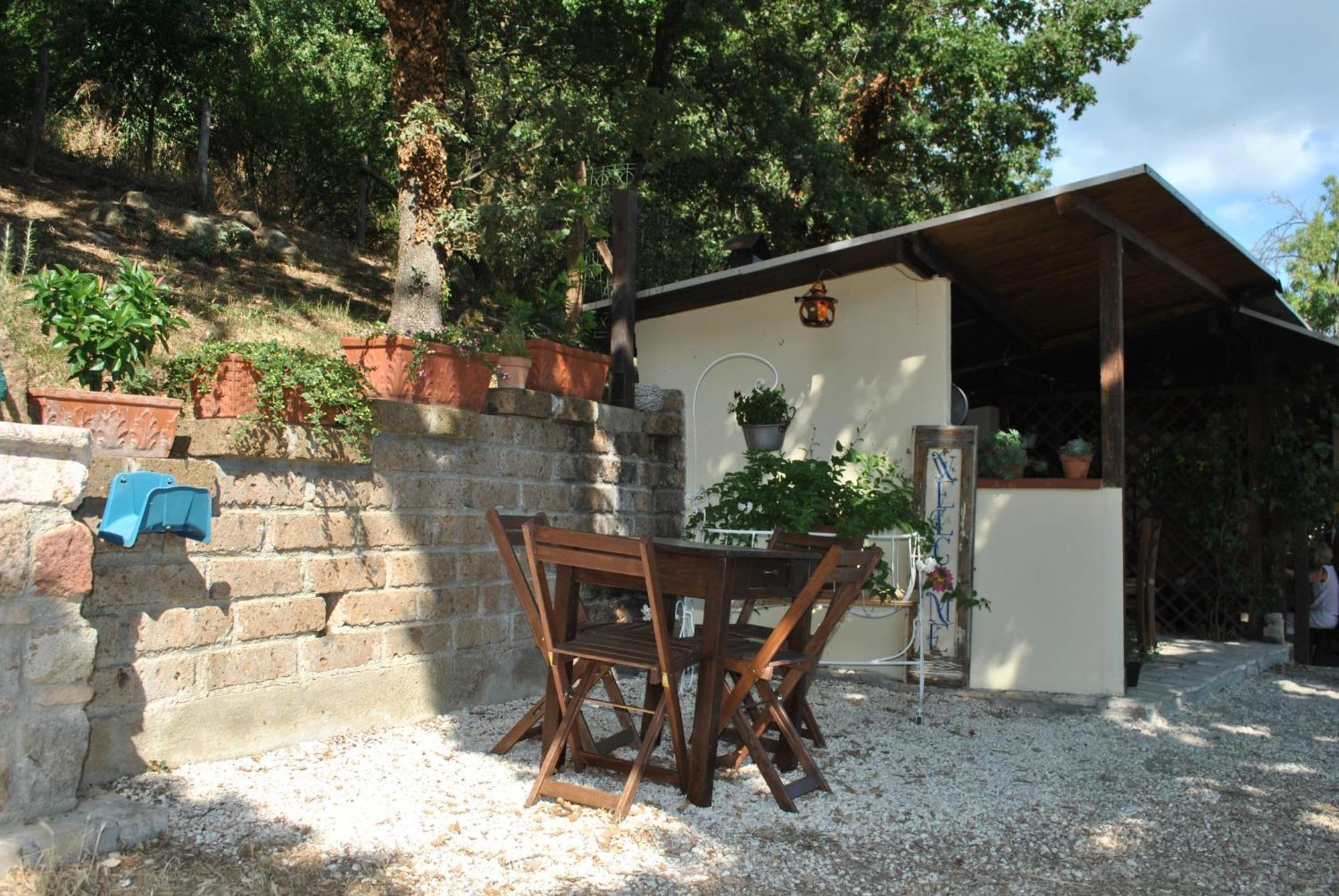 Tolfa Azienda Agricola Biologica La Cardellina מראה חיצוני תמונה