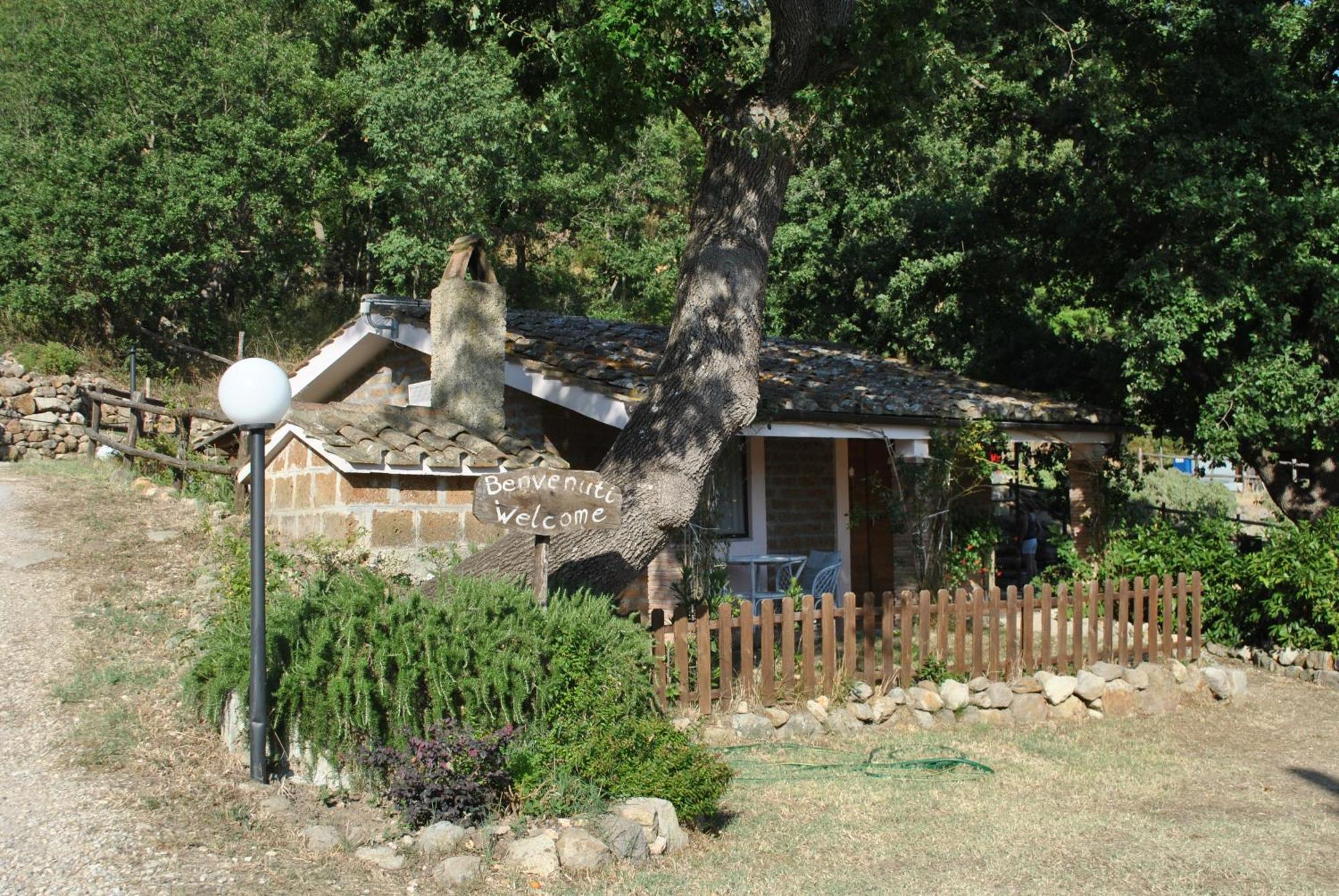 Tolfa Azienda Agricola Biologica La Cardellina מראה חיצוני תמונה