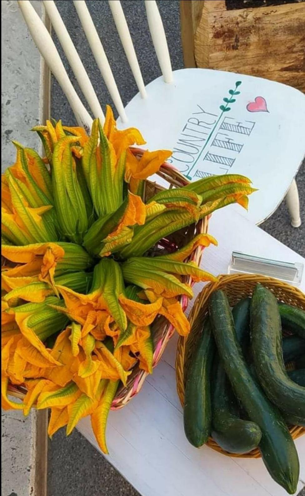 Tolfa Azienda Agricola Biologica La Cardellina מראה חיצוני תמונה