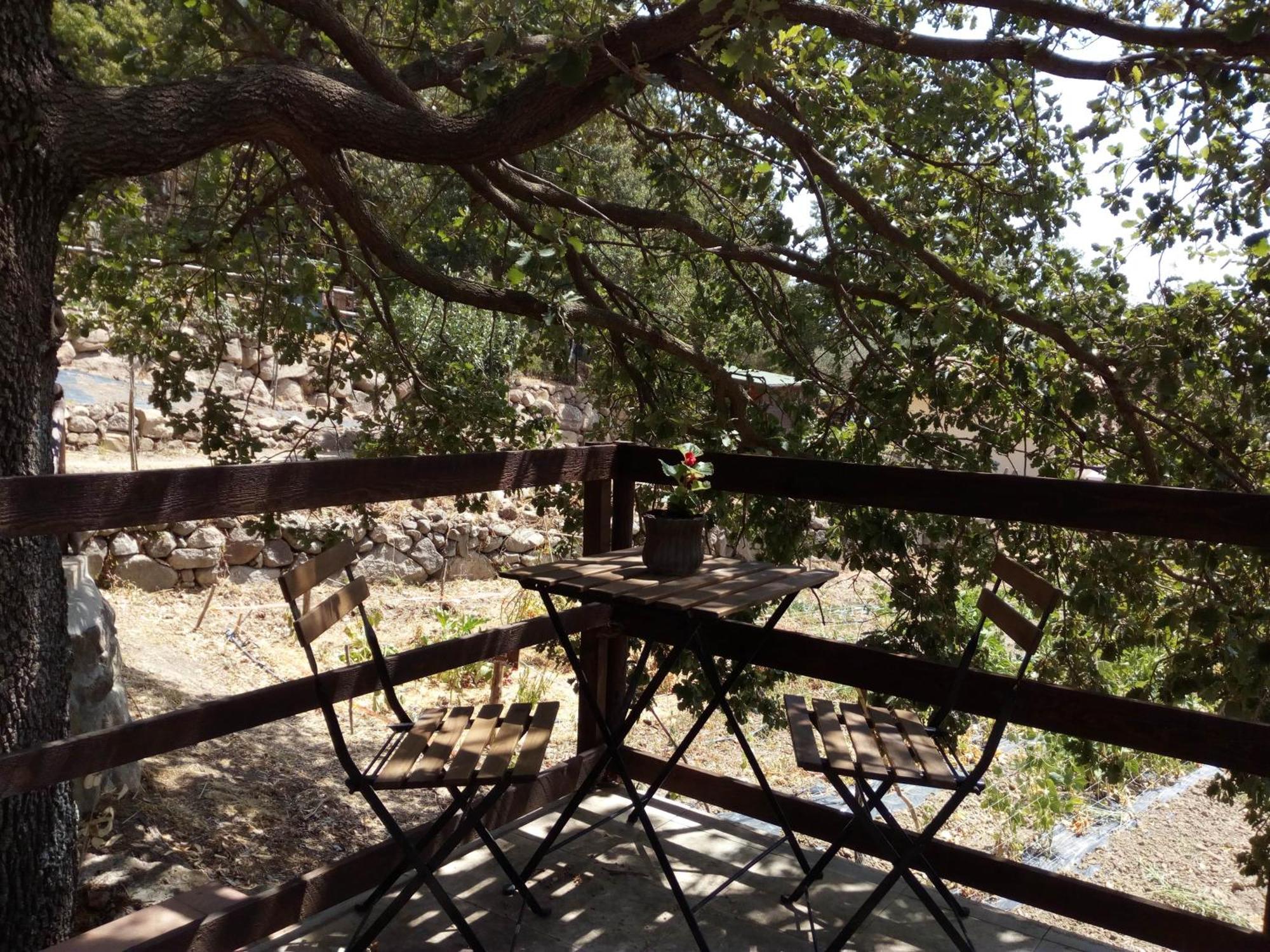 Tolfa Azienda Agricola Biologica La Cardellina מראה חיצוני תמונה