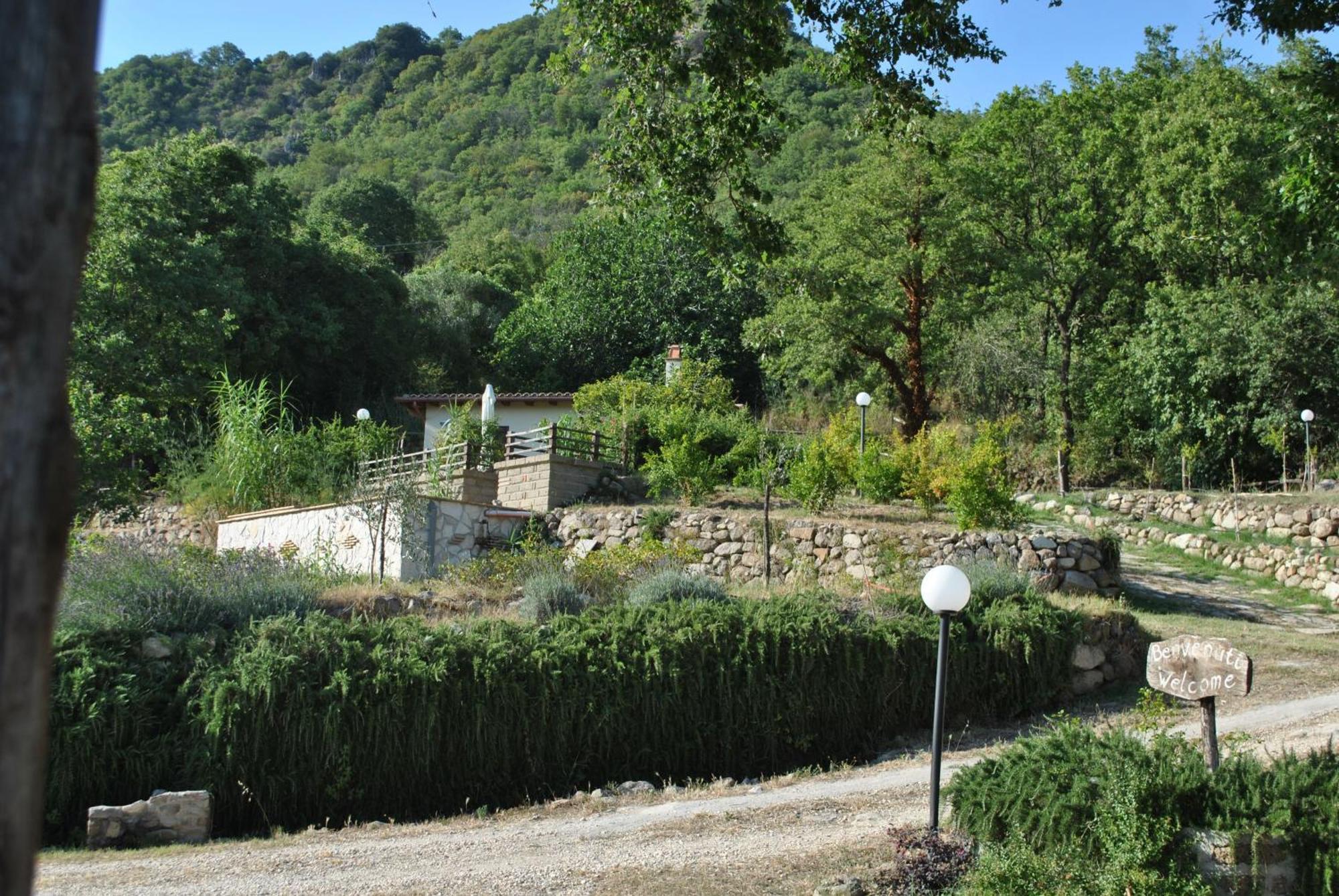 Tolfa Azienda Agricola Biologica La Cardellina מראה חיצוני תמונה