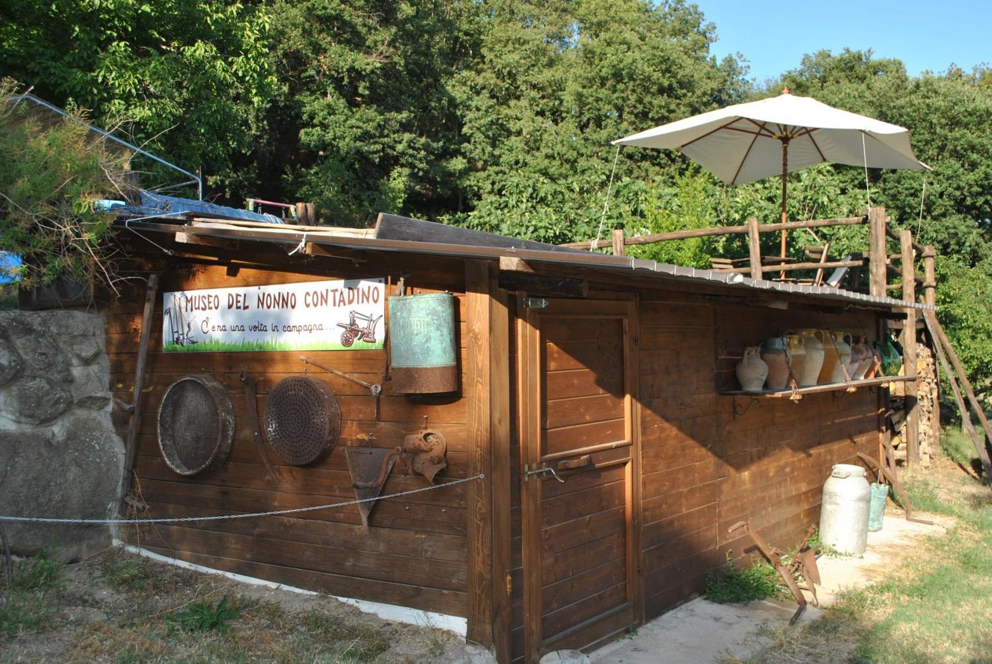 Tolfa Azienda Agricola Biologica La Cardellina מראה חיצוני תמונה