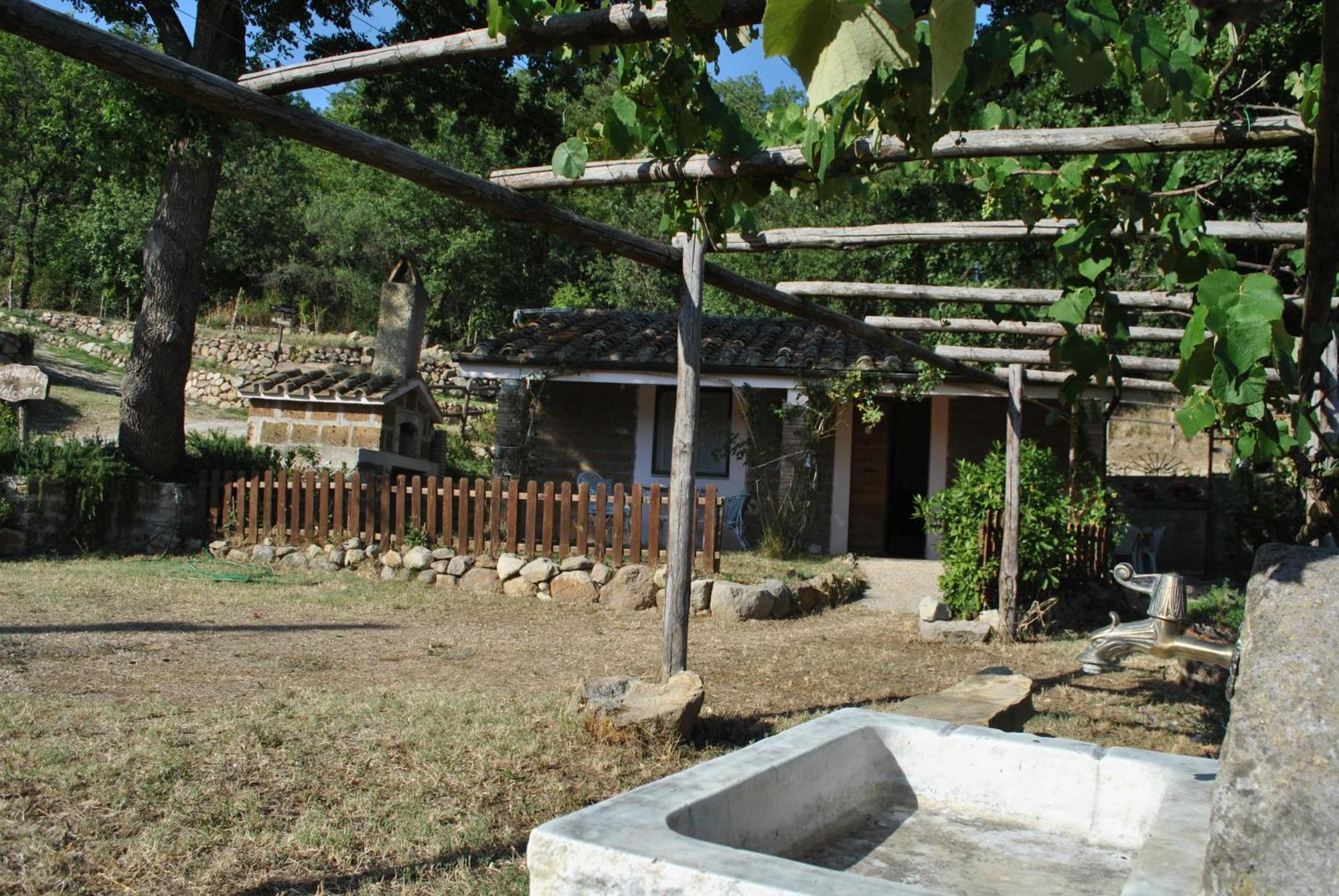 Tolfa Azienda Agricola Biologica La Cardellina מראה חיצוני תמונה