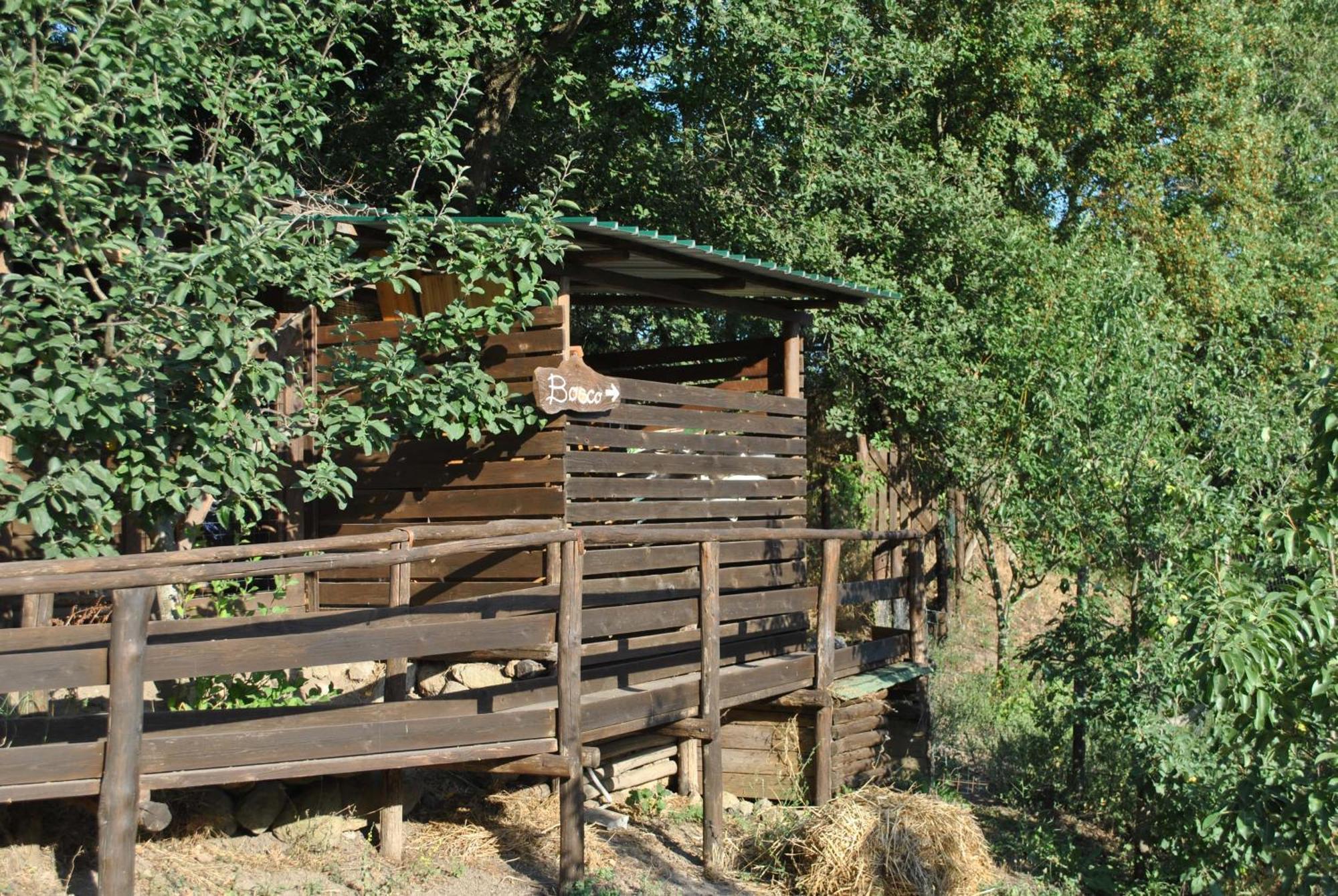 Tolfa Azienda Agricola Biologica La Cardellina מראה חיצוני תמונה